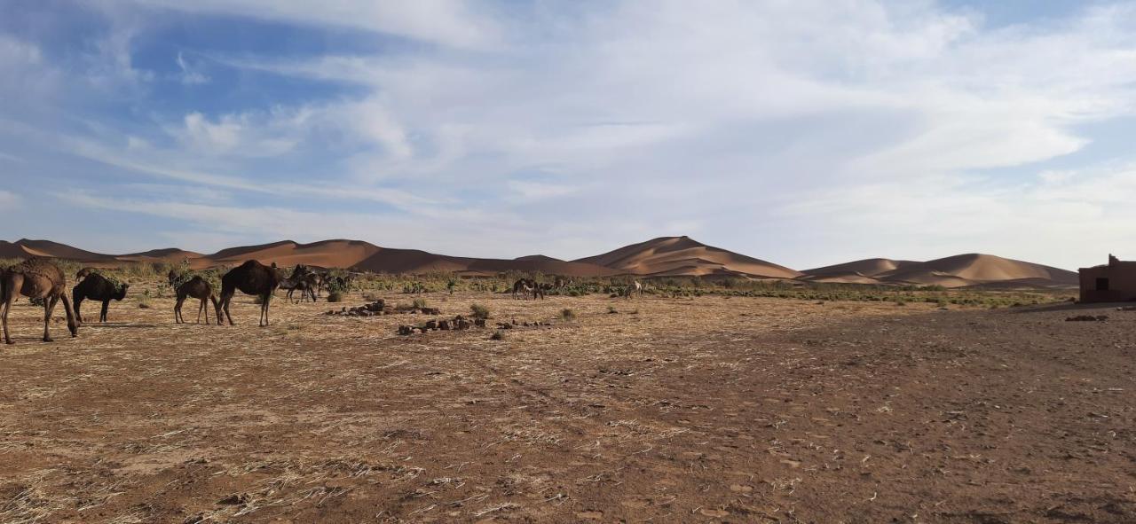 Hotel Erg Chegaga Camp Excursions M'Hamid El Ghizlane Exterior foto